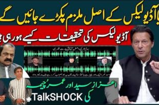 آڈیو لیکس