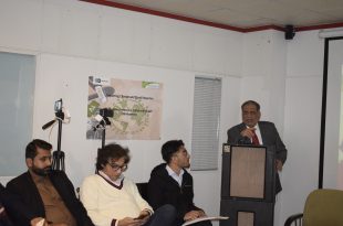 عالمی درجہ حرارت
